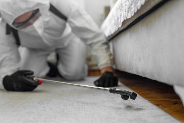 Professional Bed Bug Control technician working in Lincoln, ID
